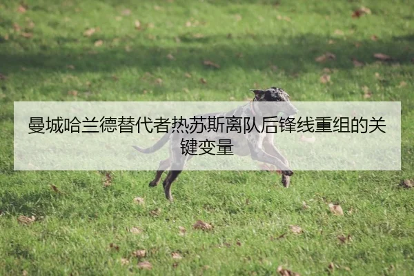 曼城哈兰德替代者热苏斯离队后锋线重组的关键变量