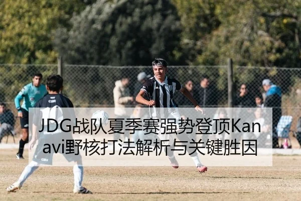 JDG战队夏季赛强势登顶Kanavi野核打法解析与关键胜因